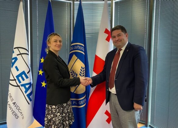 ირაკლი ყანდაშვილისა და ალექსანდრა შეფარდის შეხვედრა ადვოკატთა ასოციაციაში